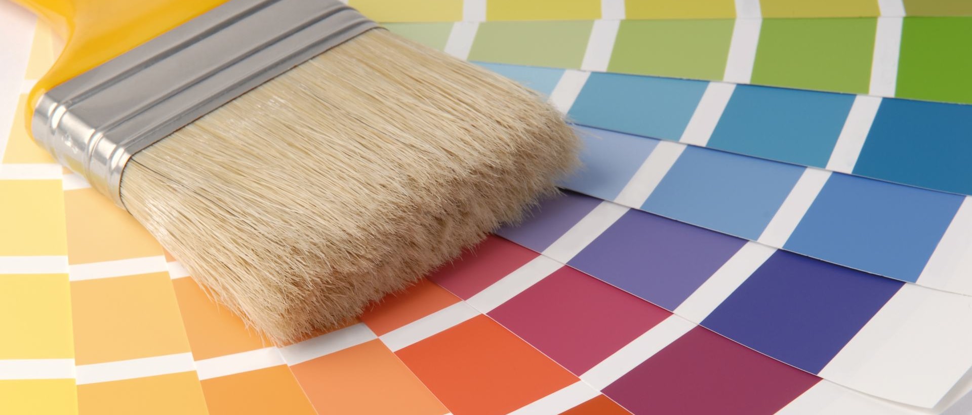Painter SW8